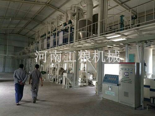山西運城100噸級玉米加工設備安裝案例